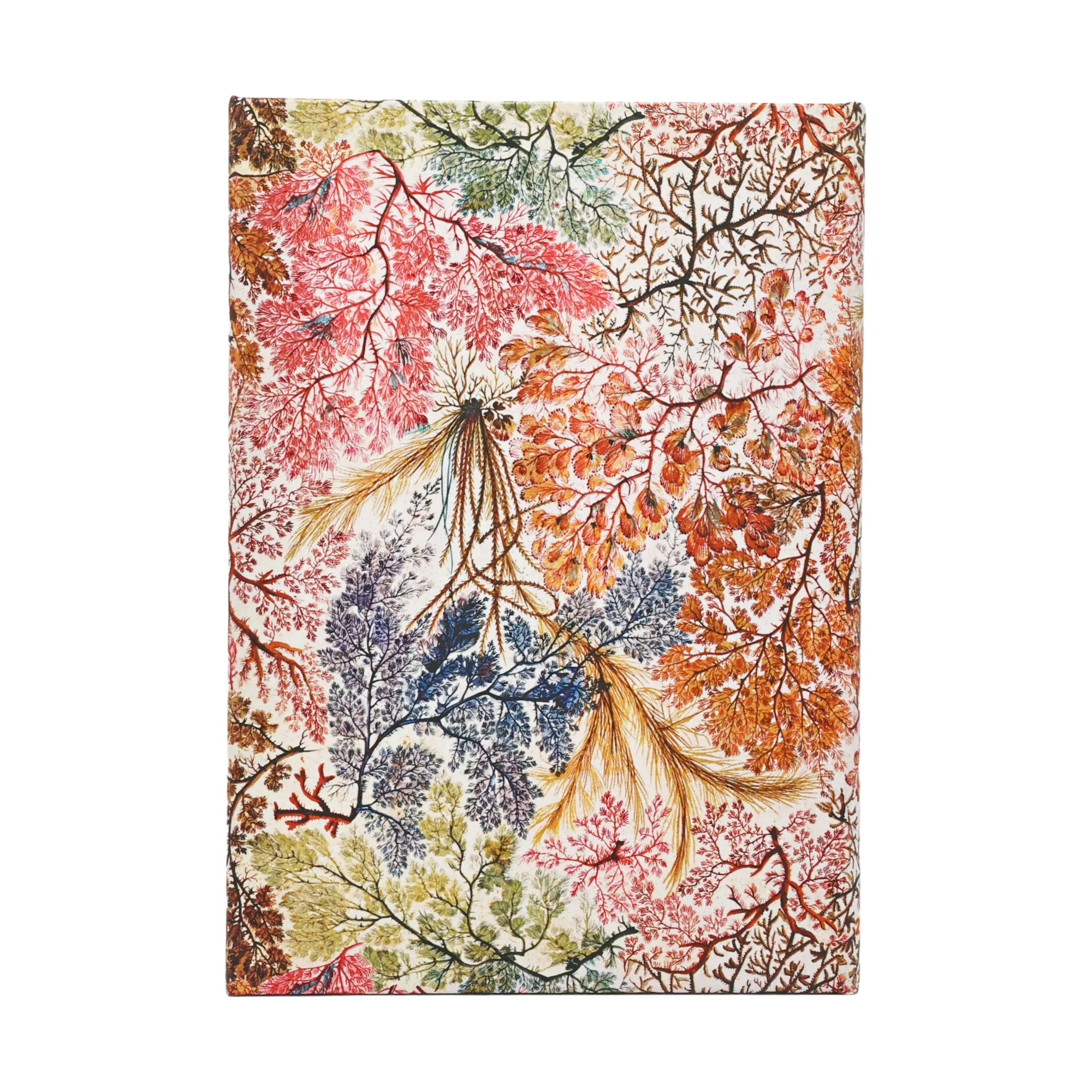 Paperblanks Agenda 2027 Anémona (Midi, Vista Semanal, 12 Meses) contraportada y diseño posterior